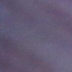 El Departamento de Justicia busca priorizar la desnaturalización en los casos en que los ciudadanos naturalizados cometen delitos específicos.