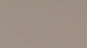 Colgar el muérdago en casa sigue siendo para muchos una forma de invitar a la armonía y los buenos deseos durante las fiestas, incluyendo el beso de amor.