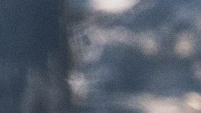 Hasta el momento las autoridades no han dado a conocer la identidad de las personas involucradas.