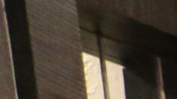 Miembros del Harbor Institute for Immigrant & Economic Justice festejaron cinco años de fundación