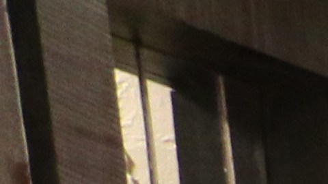 Miembros del Harbor Institute for Immigrant & Economic Justice festejaron cinco años de fundación