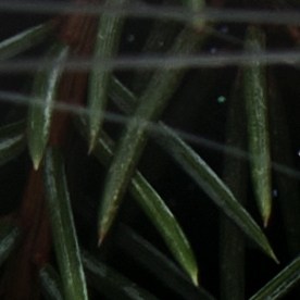 El 2026 se avecina como un año de buena suerte para algunos signos.