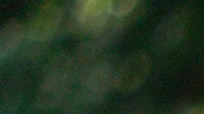 NPNA recuerda que tras el huracán Katrina, la ciudad de Nueva Orleans dependió de miles de trabajadores inmigrantes.