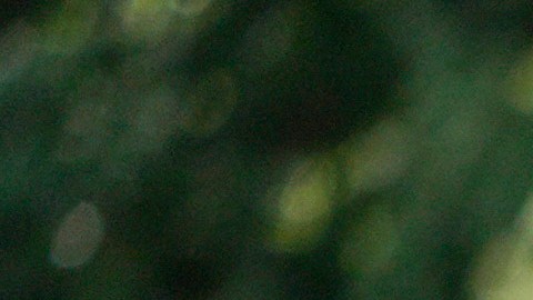 NPNA recuerda que tras el huracán Katrina, la ciudad de Nueva Orleans dependió de miles de trabajadores inmigrantes.