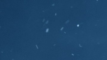 El caricaturista Thomas Nast, entre 1860 y 1880, creó la imagen que marcaría para siempre al personaje: un hombre robusto, alegre, con barba blanca y abrigo grueso.