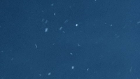 El caricaturista Thomas Nast, entre 1860 y 1880, creó la imagen que marcaría para siempre al personaje: un hombre robusto, alegre, con barba blanca y abrigo grueso.