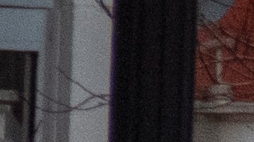 Dentro de la vivienda, las autoridades descubrieron un cadáver en avanzado estado de descomposición y múltiples artefactos explosivos.