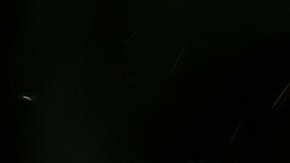 Vecinos aseguraron que los animales eran conocidos por su comportamiento agresivo.