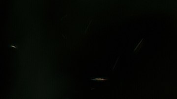 Vecinos aseguraron que los animales eran conocidos por su comportamiento agresivo.