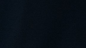 Veneziano fue arrestado el viernes por autoridades de Nueva Jersey y se espera que comparezca ante un tribunal de Boston este lunes.