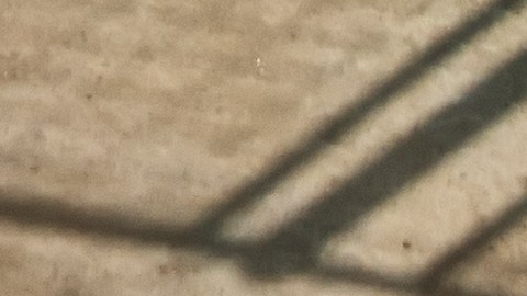 un promedio de casi 40 niños menores de 15 años muere cada año en Estados Unidos por insolación vehicular.