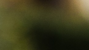 Tres agentes resultaron heridos y un transeúnte logró escapar ileso del baño donde se produjo parte del enfrentamiento.