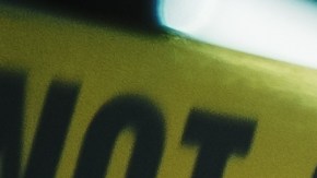 Poco después del hallazgo del hombre fallecido, las autoridades confirmaron otro incidente relacionado con los mismos animales.