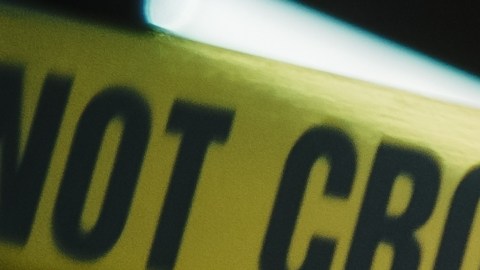 Poco después del hallazgo del hombre fallecido, las autoridades confirmaron otro incidente relacionado con los mismos animales.