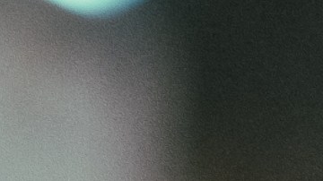 El cuerpo de Rebecca Park, de 22 años y con 38 semanas de embarazo al momento de su desaparición, fue encontrado en el Bosque Nacional Manistee. S