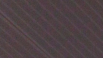 Las autoridades aeroportuarias indicaron que el incidente no afectó las operaciones del aeropuerto, que continuaron con normalidad.