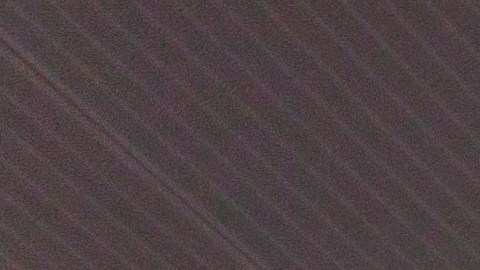 Las autoridades aeroportuarias indicaron que el incidente no afectó las operaciones del aeropuerto, que continuaron con normalidad.