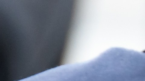 Las autoridades investigan la secuencia de hechos ocurrida en varios puntos de la ciudad de Rochester, en el estado de Nueva York.