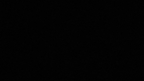 La víctima fue golpeada con un bate de béisbol y posteriormente apuñalada en la espalda y en el muslo derecho.