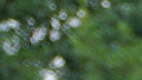 Mientras la policía sostiene que no hay indicios de homicidio, su madre denuncia contradicciones