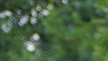 Mientras la policía sostiene que no hay indicios de homicidio, su madre denuncia contradicciones