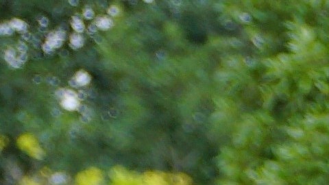 Mientras la policía sostiene que no hay indicios de homicidio, su madre denuncia contradicciones