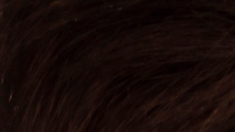 Diversos usuarios han analizado la captura y han encontrado pistas claras de que se trata de una edición