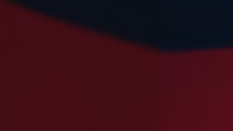 Amazon cuenta con un sistema de seguridad especialmente diseñado para identificar potenciales espías norcoreanos