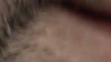 Las autoridades de Utah buscan a Elleshia Anne Seymour, acusada de llevarse a sus cuatro hijos a Europa sin autorización judicial.