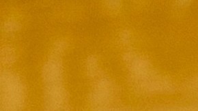 La junta médica suspendió su licencia y enfrenta múltiples cargos penales.