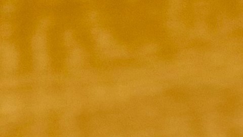 La junta médica suspendió su licencia y enfrenta múltiples cargos penales.