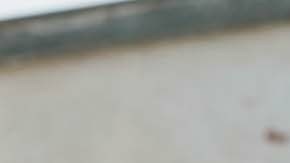 Una mujer de 19 años falleció la madrugada del viernes luego de caer desde un edificio abandonado de cinco pisos en Georgia