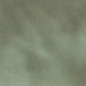 La víctima, un delincuente sexual registrado, sobrevivió a las heridas.