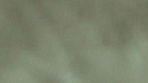 La víctima, un delincuente sexual registrado, sobrevivió a las heridas.