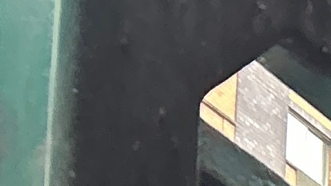 El NYPD mantiene abierta la investigación e hizo un llamado a cualquier persona que pueda aportar información relevante sobre el caso.