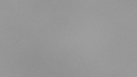 De concretarse, esta será la decimonovena ejecución en Florida en 2025, la cifra más alta registrada en un solo año en el estado.