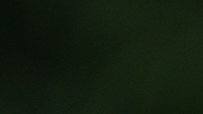 La policía investiga el caso como un posible asesinato-suicidio; el hijo de la pareja resultó ileso.