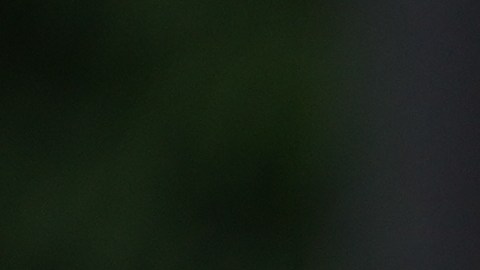 Una de las víctimas murió y la otra permanece en estado crítico. El campus fue cerrado mientras avanza la investigación.