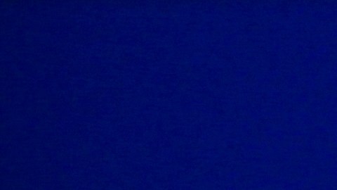 Si recibes un correo electrónico alarmante proveniente de PayPal es importante que intentes mantener la calma y hagas clic en enlaces de buenas a primeras