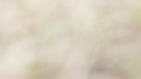 Tres menores de edad fueron detenidos en Ohio luego de huir de la policía en un vehículo reportado como robado.