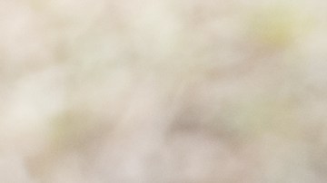 Tres menores de edad fueron detenidos en Ohio luego de huir de la policía en un vehículo reportado como robado.