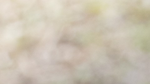 Tres menores de edad fueron detenidos en Ohio luego de huir de la policía en un vehículo reportado como robado.