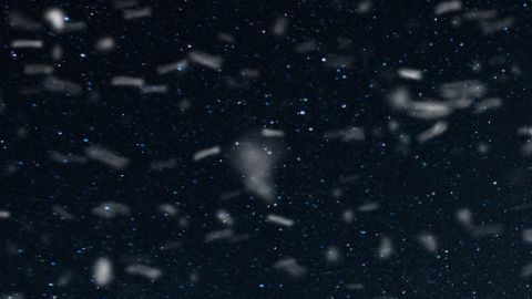 La suerte acompaña a ciertos signos en la Luna llena de diciembre.