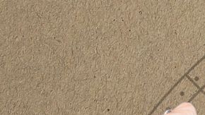 Los nativos de 4 signos celebran el éxito en el ciclo de Capricornio 2025.