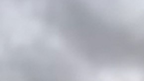 La rápida coordinación evitó una tragedia.