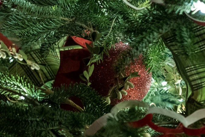 Familia Trump presenta decoración navideña de la Casa Blanca con el tema: "El hogar está donde reside el corazón"