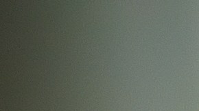 Si WhatsApp determina que la suspensión fue un error, la cuenta se restablecerá y recibirás una notificación.