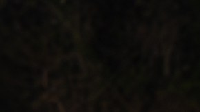 Kelly Ríos se conviertió en la nueva eliminada de Exatlón Estados Unidos.