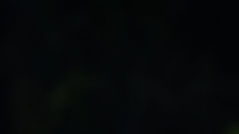 Polo en Exatlón Estados Unidos.