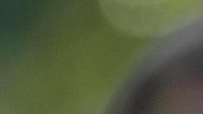 Delcy Rodríguez se convirtió en la primera mujer juramentada para la Presidencia de Venezuela.